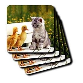 Kitten and Duck - Set Of 4 Coasters - Soft by 3dRose LLC