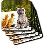 Cats - Kitten and Duck - Coasters