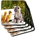 Cats - Kitten and Duck - Coasters