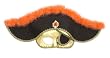 Fancy Pirate Mask