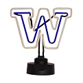 Washington Neon Lamp