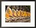 Buddha at Ayuthaya, Siam, Thailand Framed Photographic Poster Print by Gavriel Jecan, 21x17