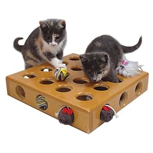 SmartCat 3833 Peek-a-Prize Pet Toy Box