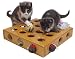 Thinking About Getting Another Cat? 41Yx66H b9L. SL75 Thinking About Getting Another Cat?