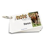 Note Fun: Note Reading Flash Cards for Violin in First Position (Horses)