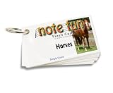 Note Fun: Note Reading Flash Cards for Violin in First Position (Horses)