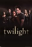 Twilight Movie Poster - 24 x 36 - Cast