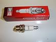 Genuine Champion DJ7Y Spark Plug.