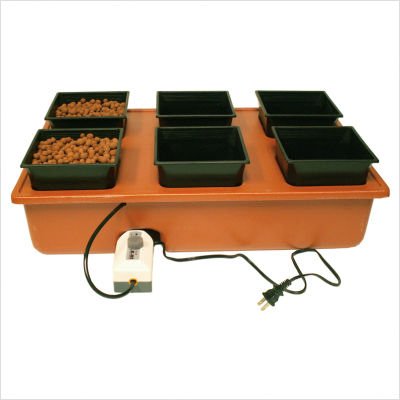 Emilys Hydroponic Garden System