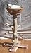 36 Inch Red Cedar Cat Scratching Post and Nest