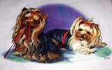 Yorkies with Ribbon - Cats and Dogs Long Sleeve T-Shirt
