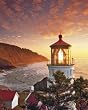 Morning Light Jigsaw Puzzle 1000pc