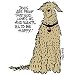Emerson Street Dogs are Proof Nightshirt Image