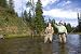 HALF DAY Flathead River Fly Fishing Guide Trip - Drift Boat Fishing with Outfitter