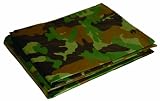 Dry Top 410129 10-by-12-Foot Full Finish Size Tarp, 5-Millimeter, 2.9-Ounce, Green Camouflage
