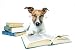 Hund Studiert - 48