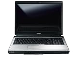 Toshiba Satellite L350D-12Q 43,2 cm (17 Zoll) Notebook (AMD Athlon 64 X2 TK-57 1,9GHz, 2GB RAM, 250GB HDD, ATI X1200, DVD+-RW DL, Vista Home Premium)