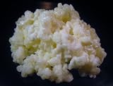 1 Tbsp Whole Milk Kefir Grains with Recipe Ebook. by Fusion Tea Room Big Save