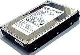 Item 610: Seagate ST3250820AV