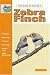 Book Guide to Owning a Zebra Finch (Guide to Owning)