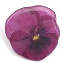 Pansy Brooch (Assorted)