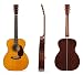 Alle Produkte : Martin Guitars 000-28 EC Eric Clapton Akustikgitarre incl. Koffer