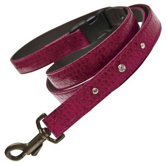 犬用リード パームワンタッチリード S カシス birdie バーディ