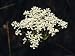 The Delicate White Flowers of Cone Seed, Also Known as Smoke Bush, Australia Photographic Poster Print by Jason Edwards, 18x24