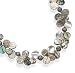 16"+2"Extension Abalone Shell and Cultured Freshwater Pearl Necklace