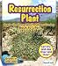 Fast-Acting Plants-Resurrection Plant