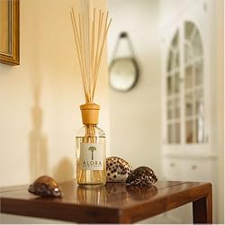 Alora Ambiance ISOLA Reed Diffuser - 16 oz