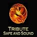 Safe & Sound (Taylor Swift feat. The Civil Wars 