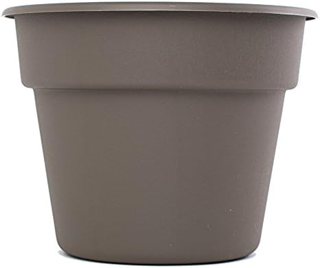 Bloem Dura Cotta Planter, Peppercorn, 10"