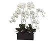 3.5' Potted Artificial White Silk Phalaenopsis Orchid Plant
