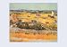 Vegetable Gardens 12x18 Giclee on canvas