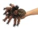 Folkmanis Small Tarantula Puppet