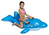 Swimline Dolphin Stable Ride-On