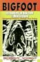 Bigfoot Encounters in New York & New England
