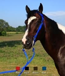 Western Poly Browband Headstall Set w/Reins Blue