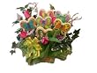 Butterfly 6 Cookie Bouquet