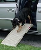 Halfstep II Multi-Purpose Ramp