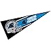 WinCraft Carolina Panthers Official 30 inch Large Pennant