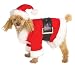 Santa Dog Costume