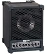 Roland Cube Monitor / PA