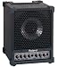 Roland Cube Monitor / PA