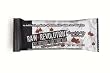 Raw Revolution All Natural Live Food Bar, Chocolate Chip Cookie Dough, 1.6-Ounce Bars (Pack of 20)