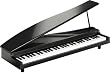microPIANO (61����/�֥�å�) MICROPIANO