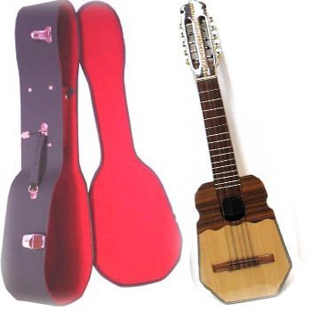 Professional Ronroco + Hardcase