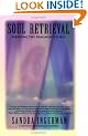Soul Retrieval: Mending the Fragmented Self: Mending the Fragmented Self Through Shamanic Practice