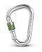  : Salewa HMS Quick Screw Free, titan